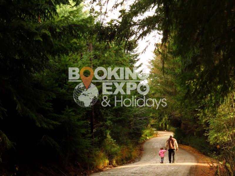 Booking Expo Holidays