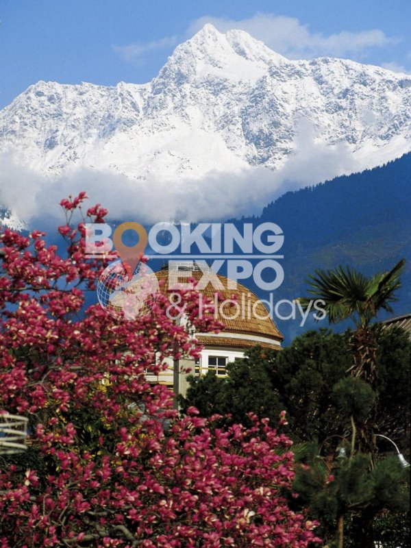 Booking Expo Holidays