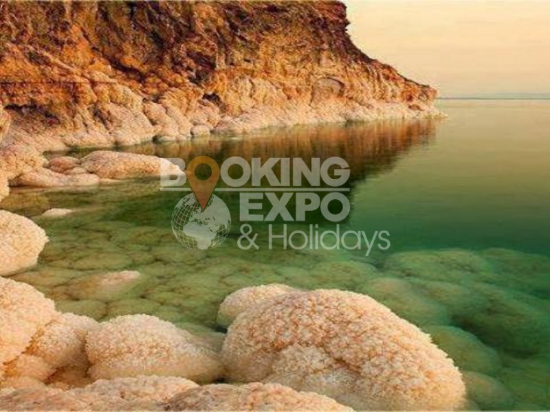 Booking Expo Holidays