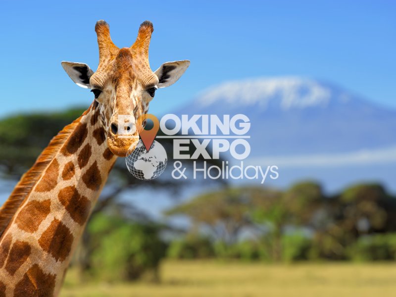 Booking Expo Holidays