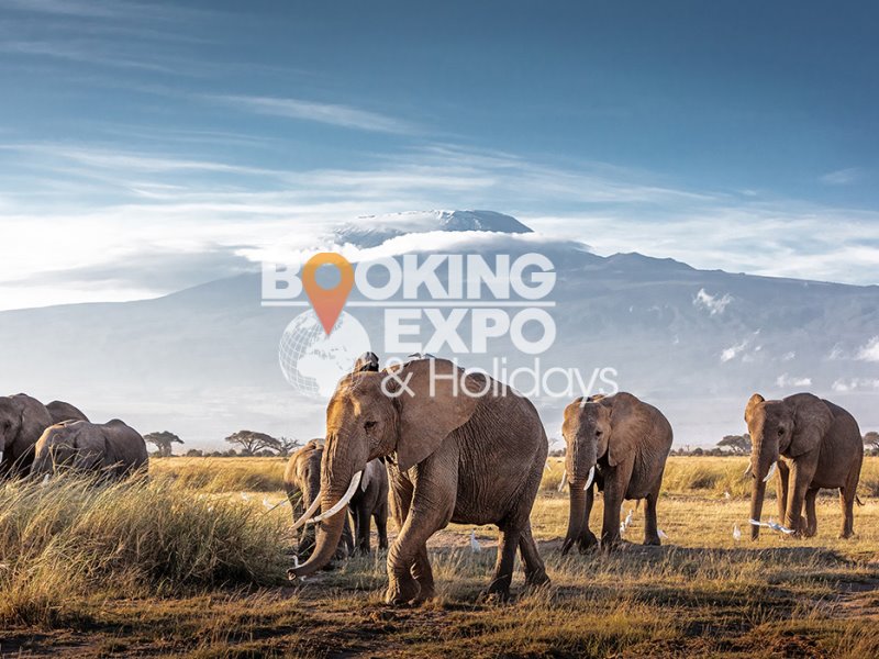 Booking Expo Holidays