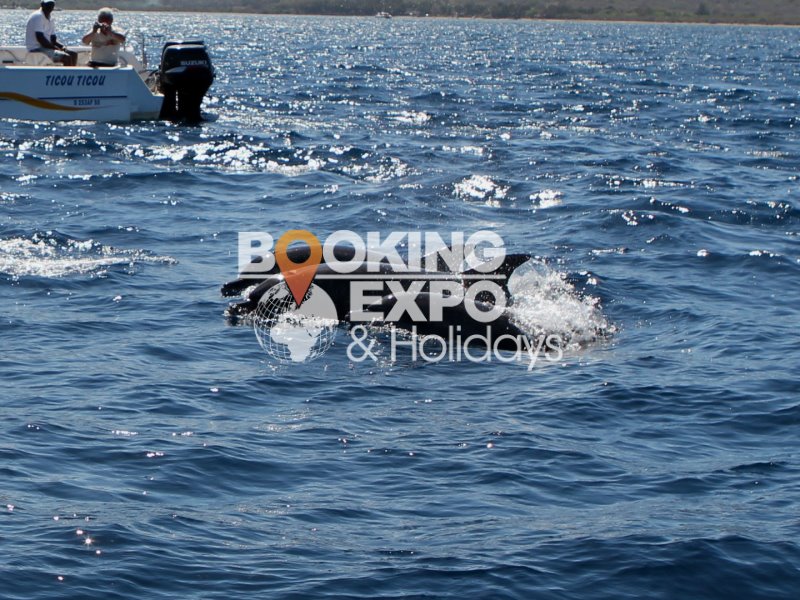 Booking Expo Holidays