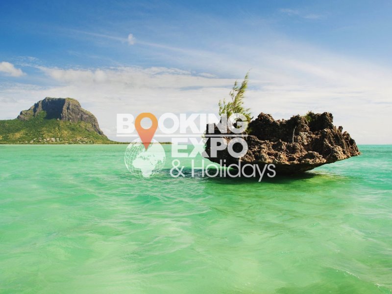 Booking Expo Holidays