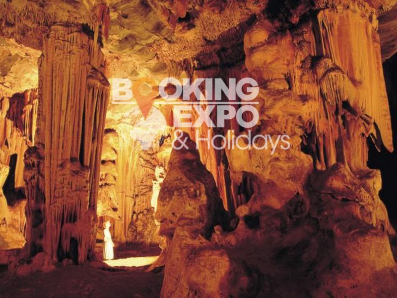 Booking Expo Holidays