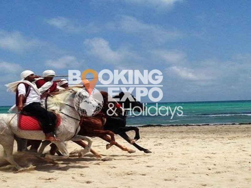 Booking Expo Holidays