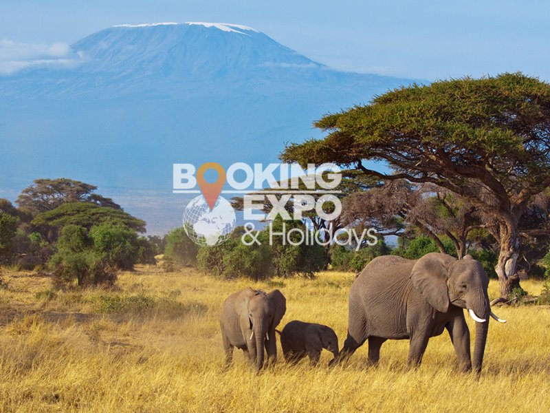 Booking Expo Holidays