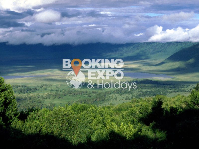 Booking Expo Holidays