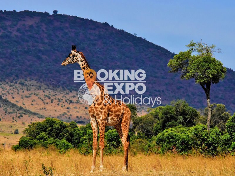 Booking Expo Holidays