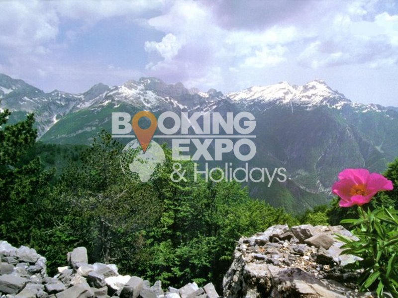 Booking Expo Holidays