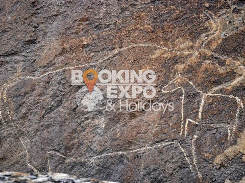 Booking Expo Holidays