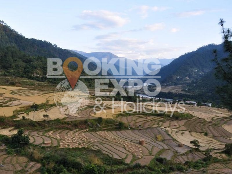 Booking Expo Holidays