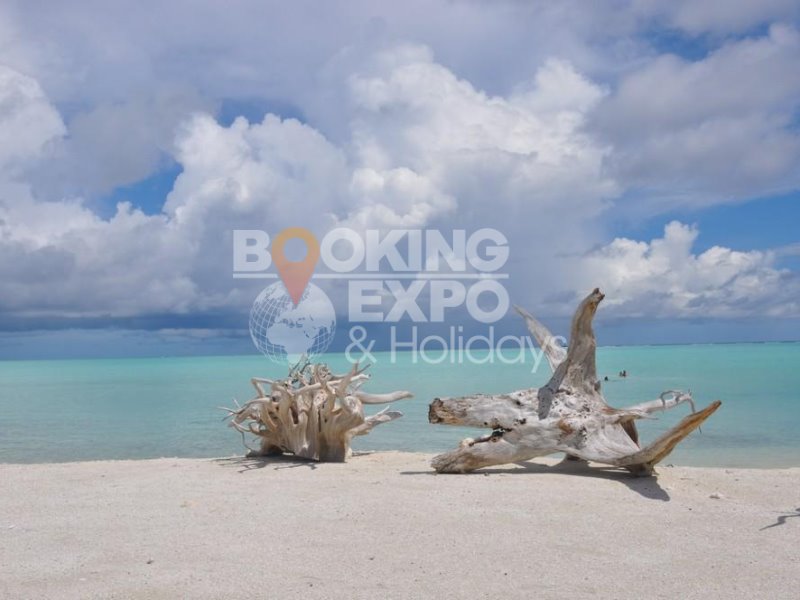 Booking Expo Holidays