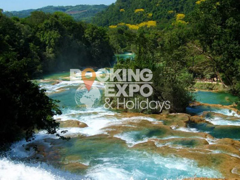 Booking Expo Holidays