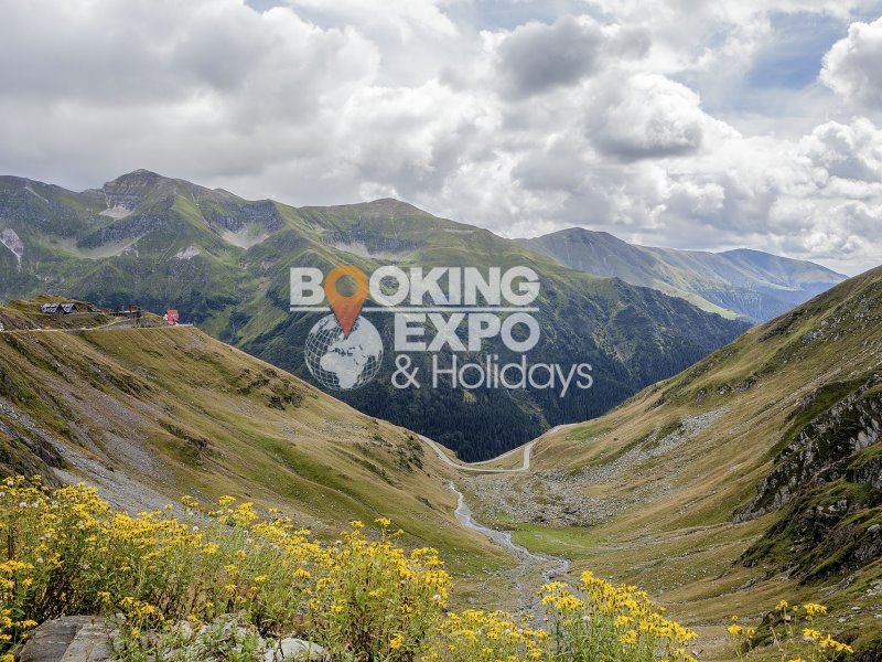 Booking Expo Holidays