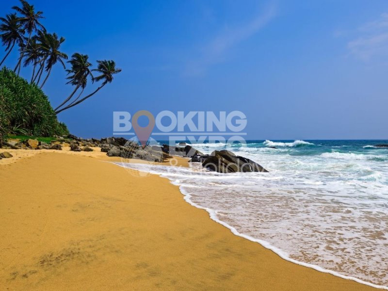 Booking Expo Holidays