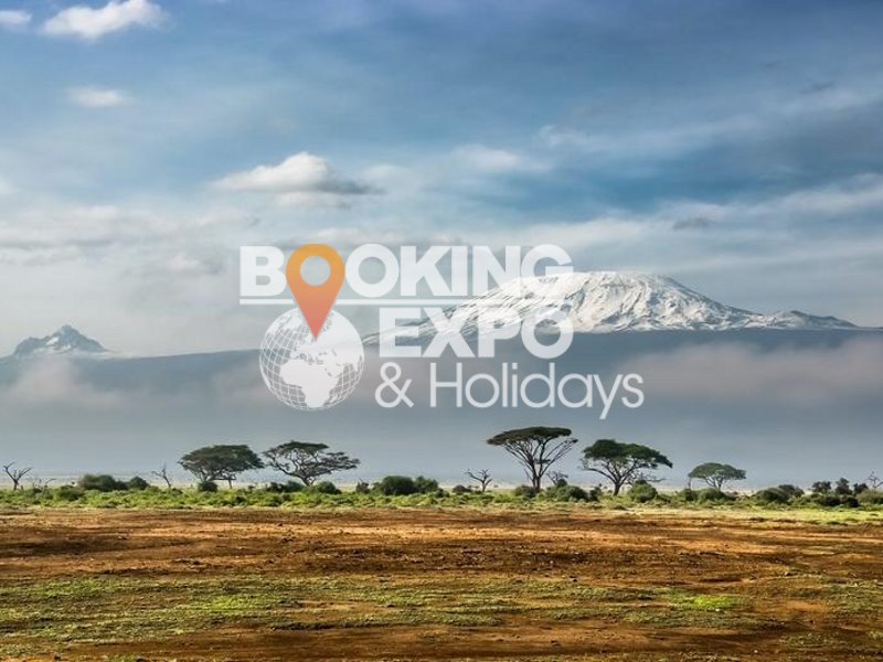 Booking Expo Holidays