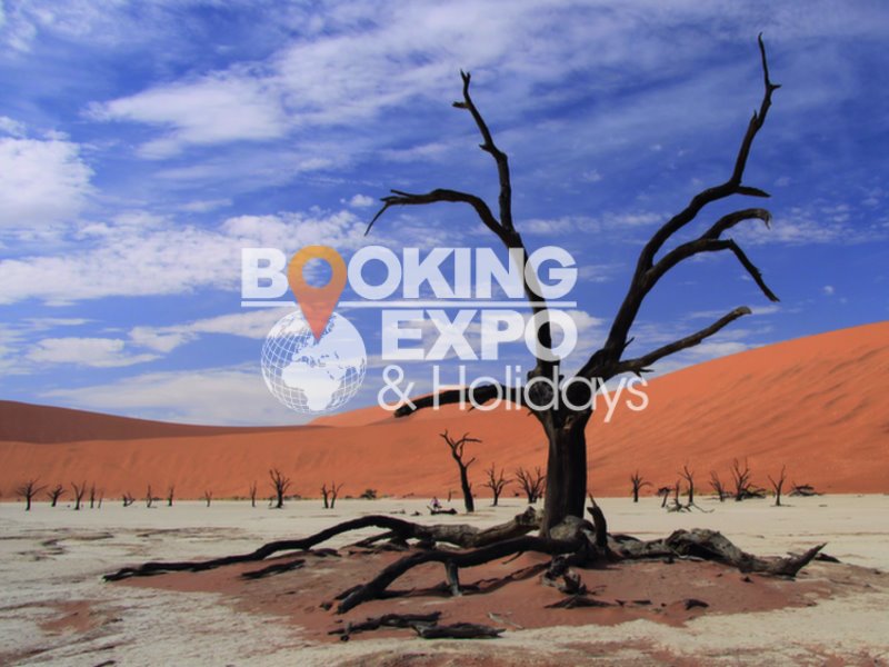 Booking Expo Holidays