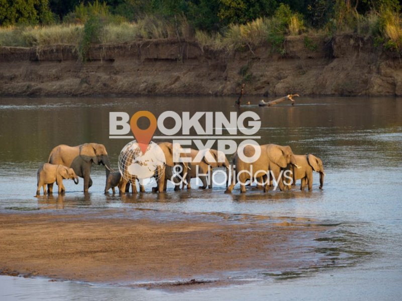 Booking Expo Holidays