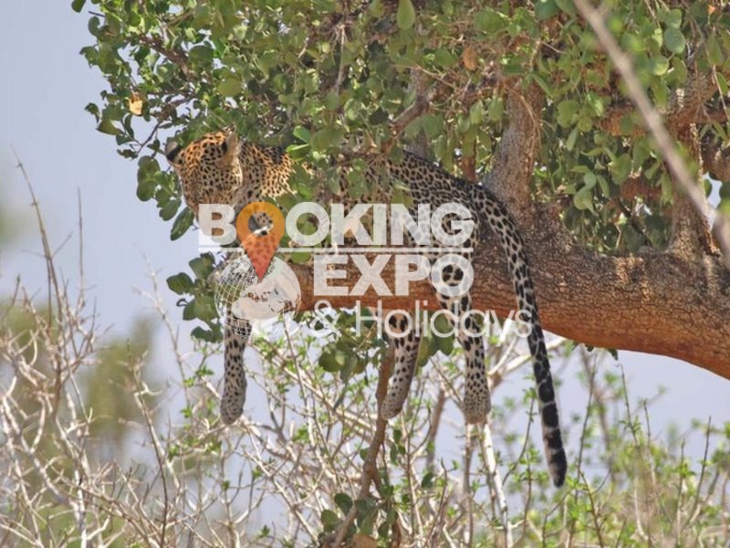 Booking Expo Holidays