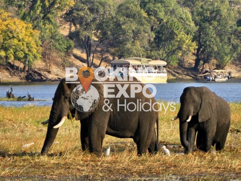 Booking Expo Holidays