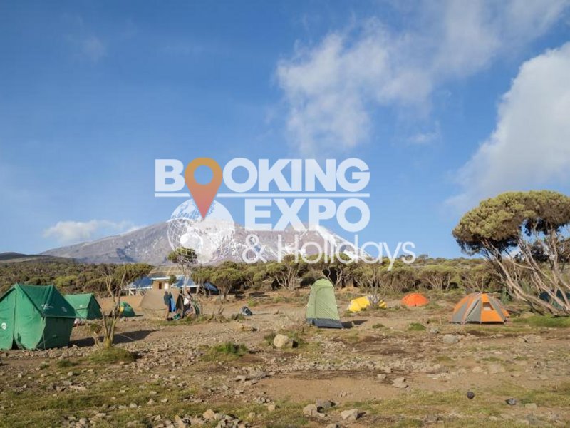 Booking Expo Holidays