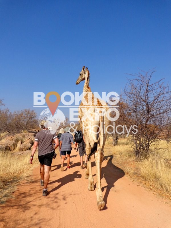 Booking Expo Holidays