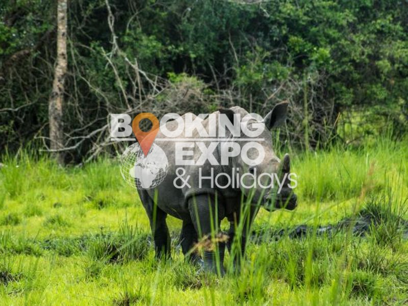 Booking Expo Holidays