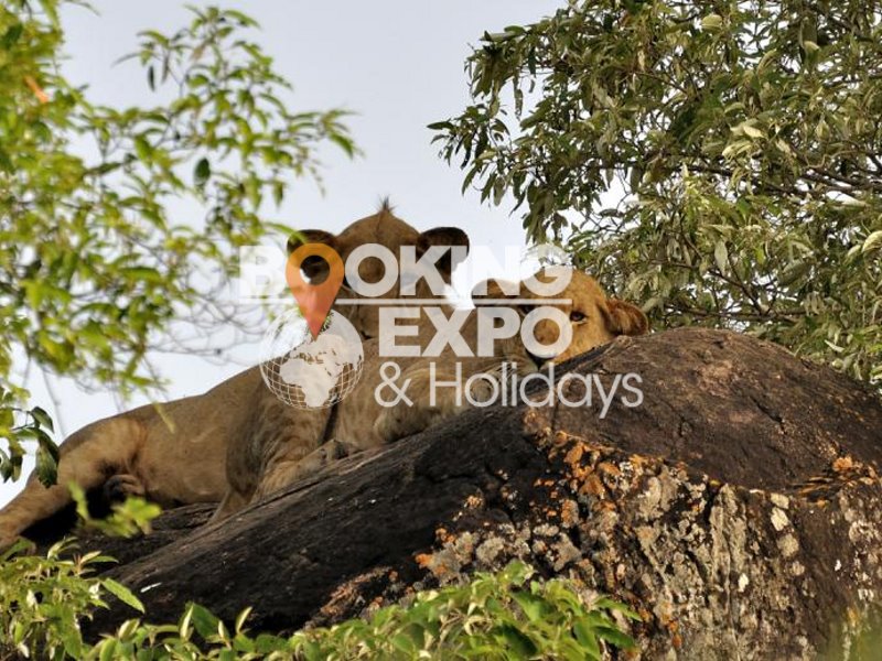 Booking Expo Holidays