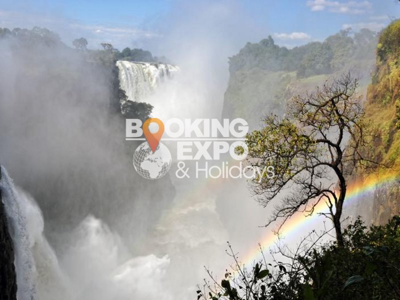 Booking Expo Holidays