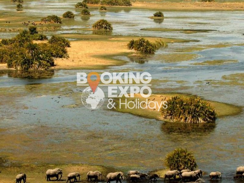 Booking Expo Holidays