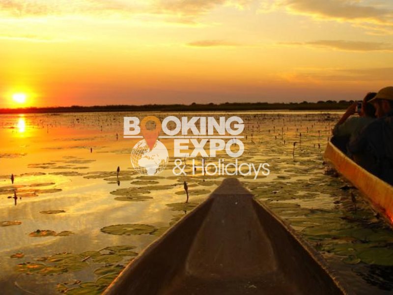 Booking Expo Holidays