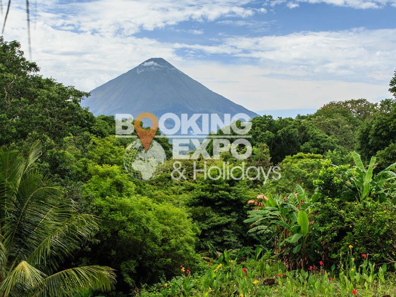 Booking Expo Holidays