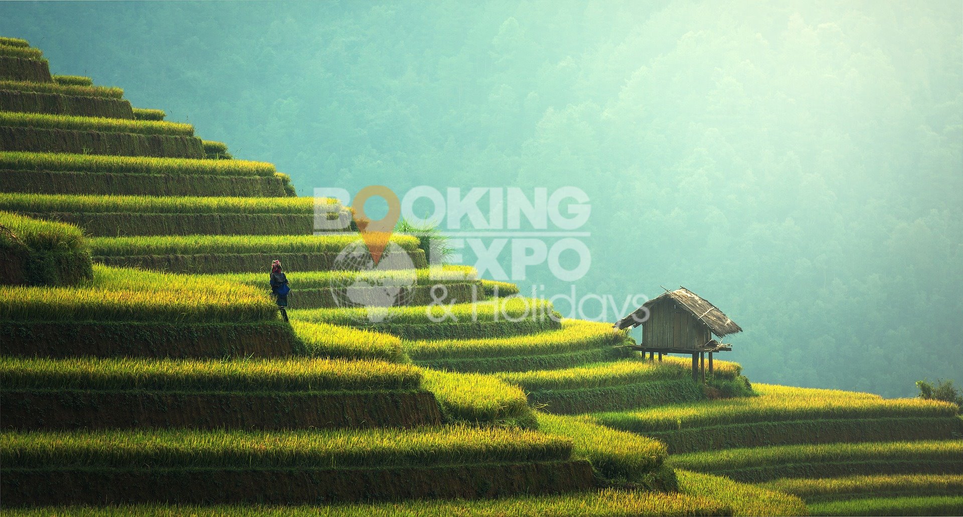 Booking Expo Holidays