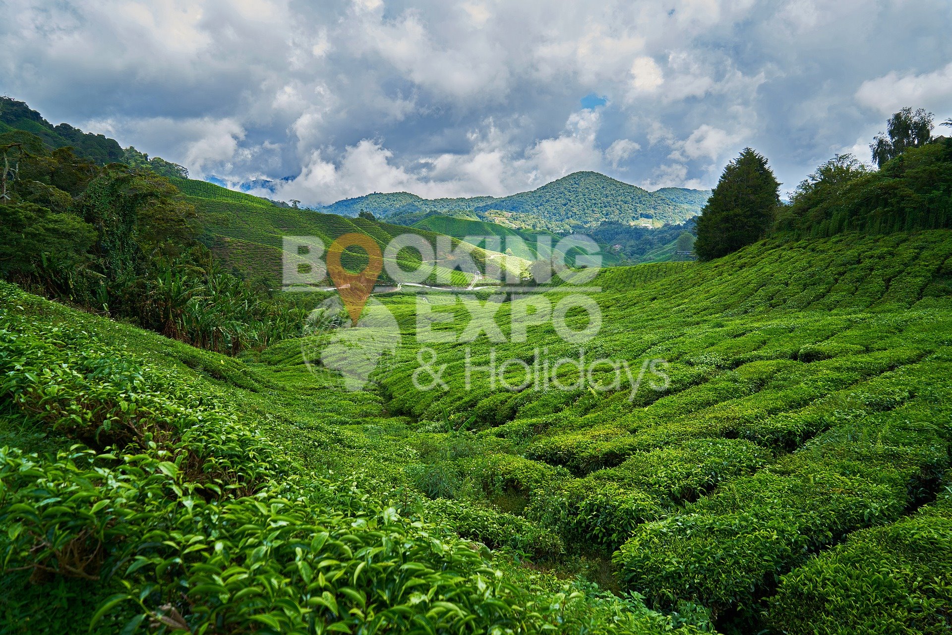 Booking Expo Holidays