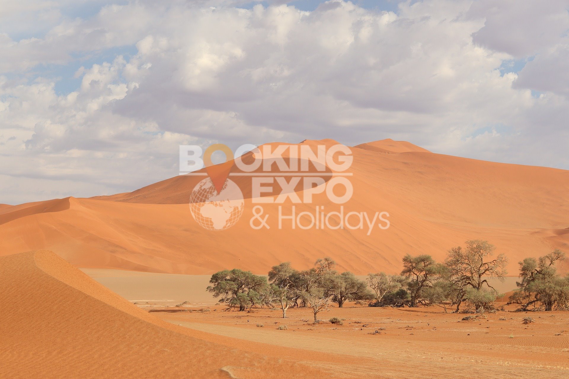 Booking Expo Holidays