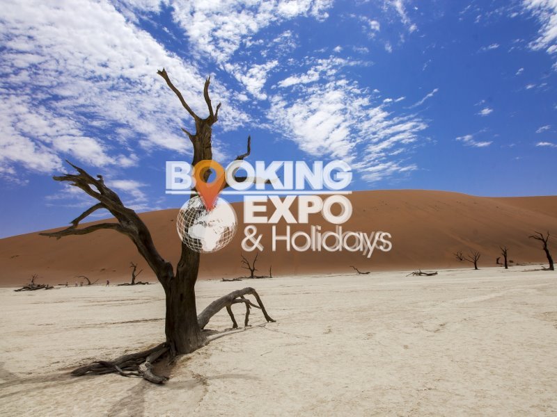 Booking Expo Holidays